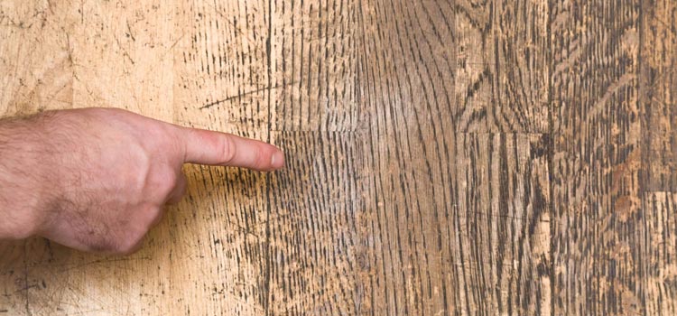 Wood Door Scratch Repair in Homeland